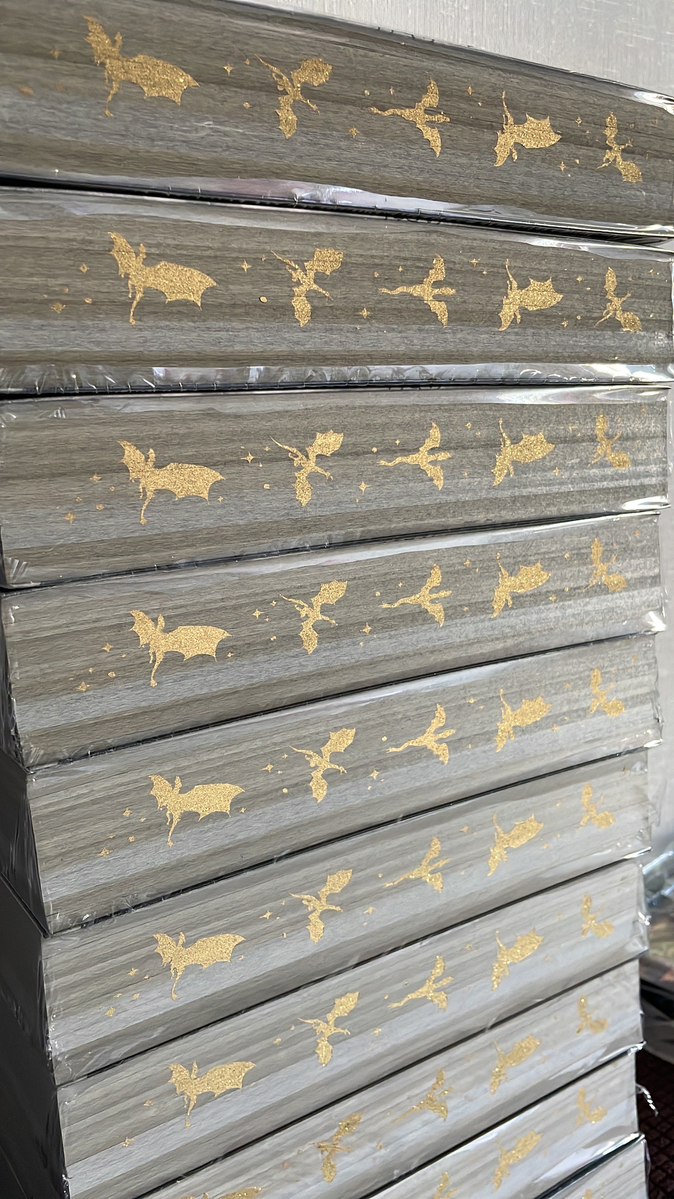 Libro Alas de ónix cantos pintados