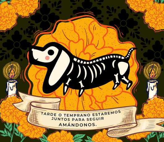 Vela nueva edición especial día de muertos