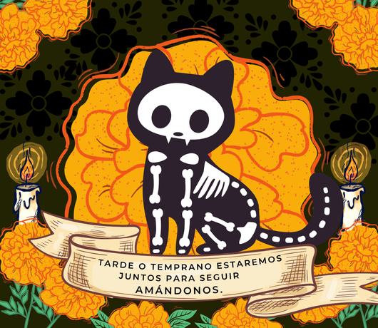 Vela nueva edición especial día de muertos