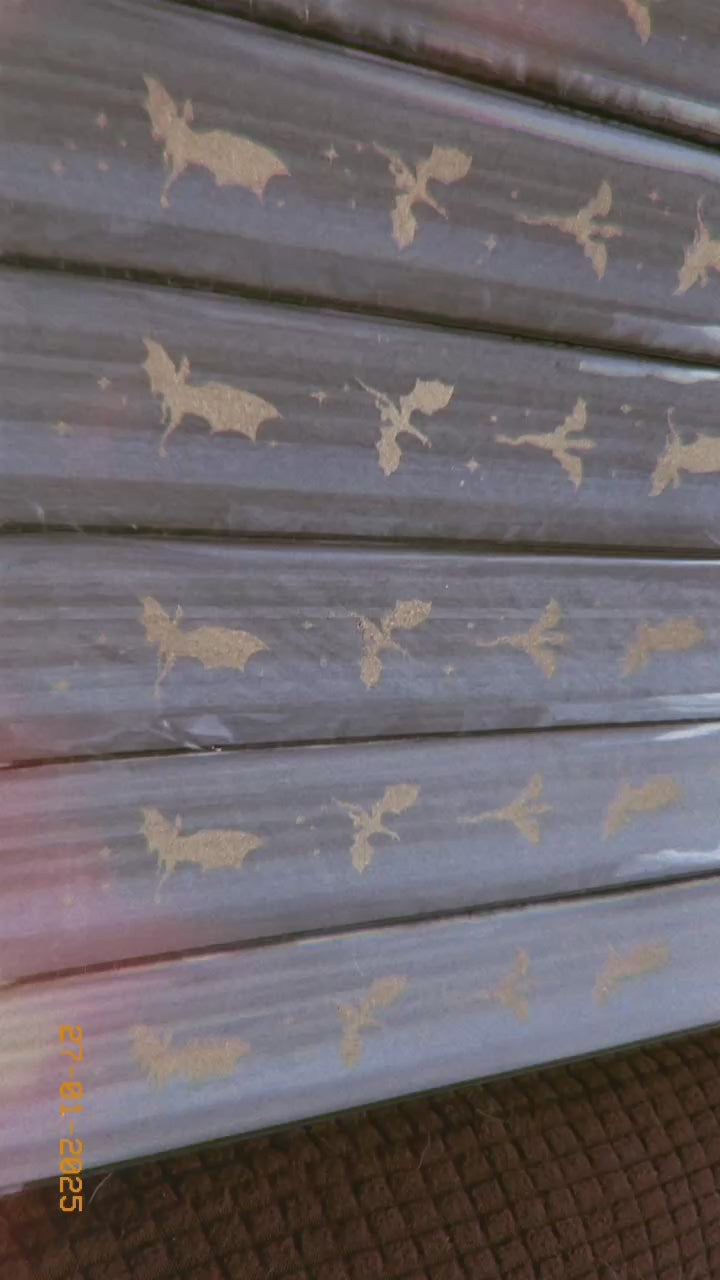 Libro Alas de ónix cantos pintados